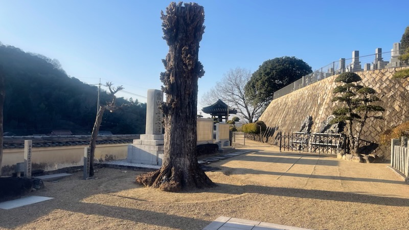 TOPスライド画像01